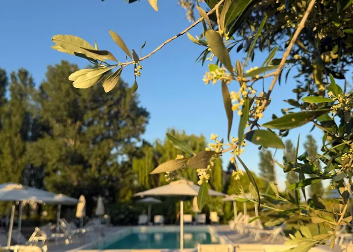Agriturismo I Bosconi